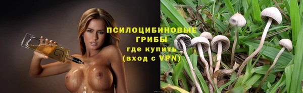 экстази Абаза