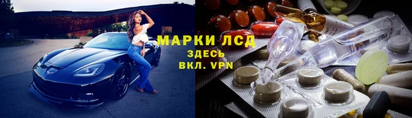 эйфоретик Абинск