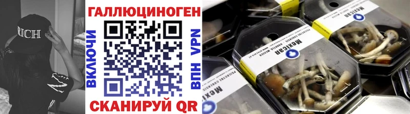Псилоцибиновые грибы Cubensis  Ростов-на-Дону 